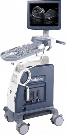 Voluson P8