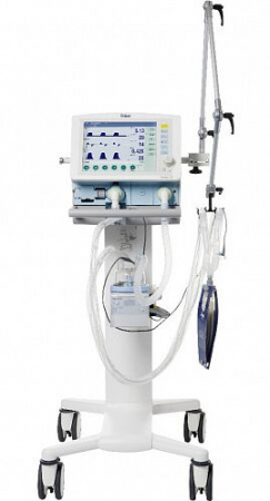 Savina 300