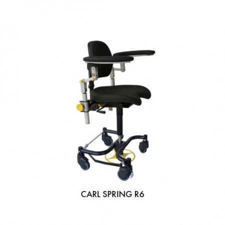 Carl Swing /Spring