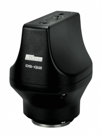 DS-Qi2